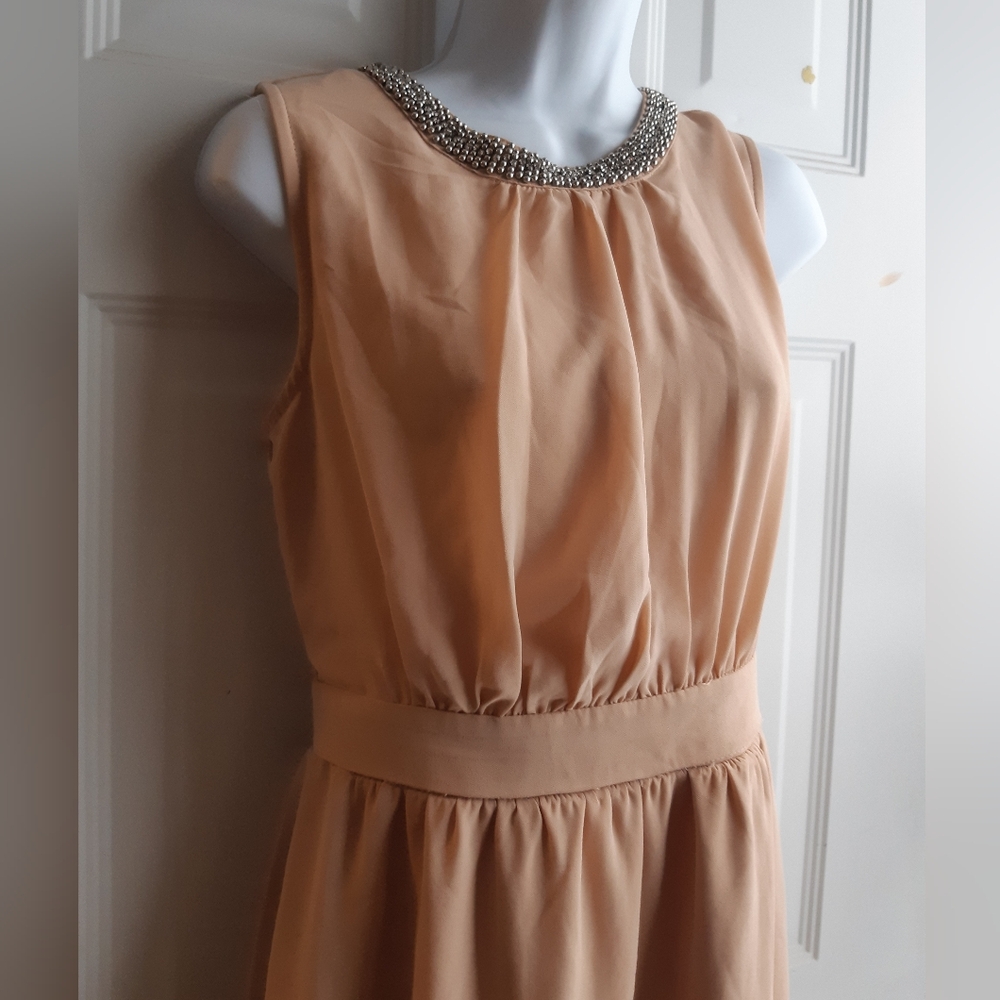Pink Chiffon Dress - Picture 10 of 11